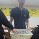 엽기팔닭 이미지