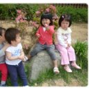 석전초등학교 이미지