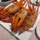 Point-붉은 날 이미지