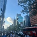 강남역(교보거리) | [서울, 강남] 강남역 데이트 맛집 백소정 강남역점 방문기! 냉소바, 마제소바·돈카츠 세트 추천