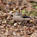 한라수목원 이미지