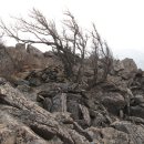 진부령 가는길 이미지