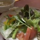 스페셜독 이미지