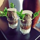 중앙꽃집 이미지