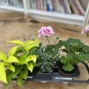 11500-15-14-02 이미지