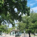 대공원역 5번 출구 옆 이미지