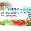 2015 고창 복분자 와 수박축제 이미지