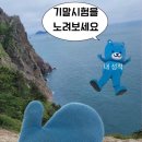 금하카서비스 | 겨우겨우 살고 있습니다