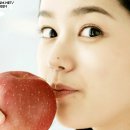 지지베
