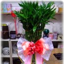 고령꽃집 이미지