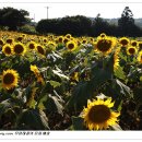 김경숙농장 이미지