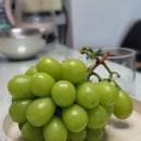 효천연합내과의원 이미지