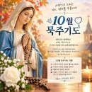 ⛪️ 연중 제28주간 월요일 이미지