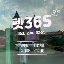 펫365 네이버블로그