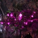 자수정동굴나라 이미지