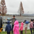 옥성초등학교 병설유치원 이미지