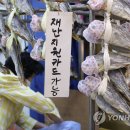 마이크닷컴 이미지