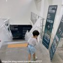 아이씨티라운지 | [2022 화성오디세이] 로얄엑스&데이지 보러 나들이 🪐🌼
