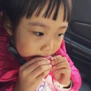 마리웨일마카롱 이미지