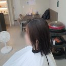 류헤어갤러리 이미지