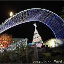 포레스트12 이미지