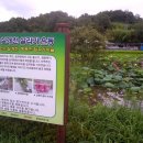 왕대골마을 이미지