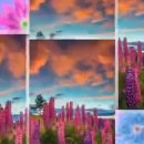 행복연장전 이미지