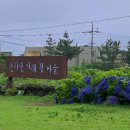 🏝️ [제주 2주살기] 7월 제주 서쪽 여행 Ι &lt;한라산 아래 첫마을&gt; &lt;금오름&gt; &lt;우호적 무관심&gt; &lt;김창열...