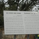흑산도홍어2 이미지