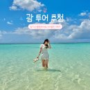 돌핀 | 괌 탕기슨별빛투어&amp;스타돌핀크루즈 콤보 후기, 예약 꿀팁