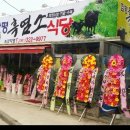 함평흑염소