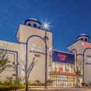 아쿠아펫 카페수족관 이미지