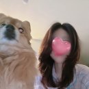 뚜레쥬르 일산중산점 | [일산/중산] 우리 가족만 알고 싶은 중산동 미용실 추천- 미미미 헤어