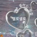 헬로샐로 이미지