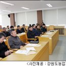 써브스트라투스