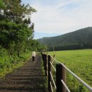 물영아리오름 이미지