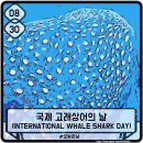 디자인 오늘 이미지