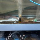 북삼횟집 이미지