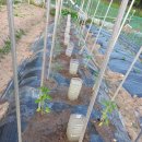 기용농장 이미지