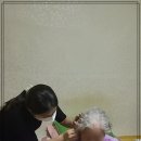 주안보청기 네이버블로그