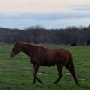 팜팜스테이 이미지