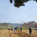 삼삼오오농장 이미지