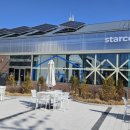 스타코(starco) 이미지