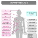삼모라인내과의원