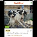 문경가축병원 이미지