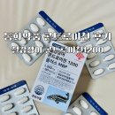 플러스약품 | 철갑상어 콘드로이친1200 일상 관리｜동화약품 철갑상어 콘드로이친 1200 플러스 MBP 후기