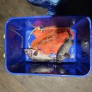 인천낚시터 이미지