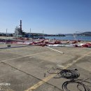 울진대게 이미지