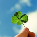 김갑수농장 이미지