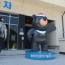 평창송어회 이미지